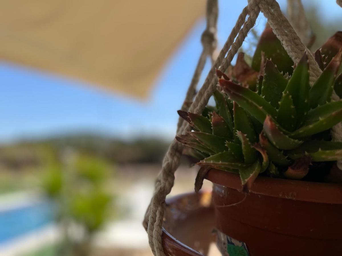 Vakantiehuis La Casita *